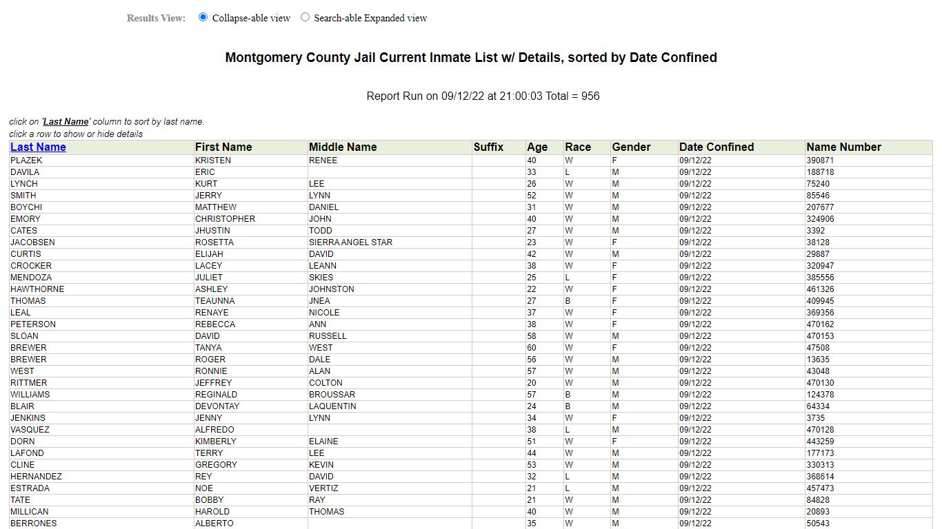 Jail Roster - Montgomery County, Texas